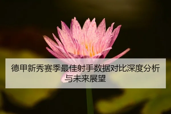 de-jia-xin-xiu-sai-ji-zui-jia-she-shou-shu-ju-dui-bi-shen-du-fen-xi-yu-wei-lai-zhan-wang-2-223.jpg